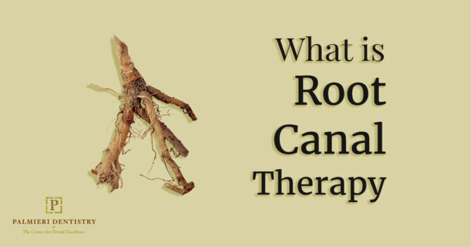 Palmieri_Blog-November-23