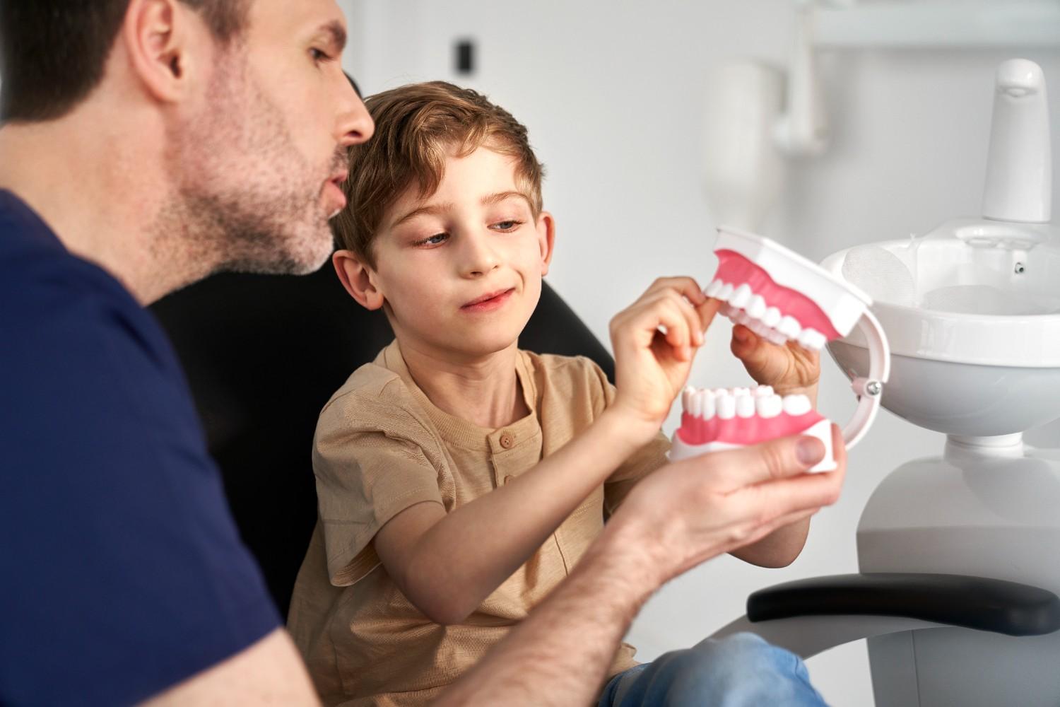 Dentist explaining dental care to a child using a teeth model